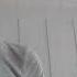 G Animatim Omonatim Onajon Jonli Ijroda Baxo Berib Shuni Bosib Fikrlarizni Qoldiring
