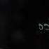 محمود عباده أغنية غريبة الناس