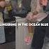 Hawaiian Roller Coaster Ride Anthony Gargiula TIKTOK Cover Songlyrics Singing Coversong