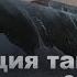 СТАНЦИЯ ТАЙМЫР ВТОРАЯ ГЛАВА СТРАШНЫЕ МИСТИЧЕССКИЕ РАССКАЗЫ