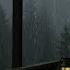 Soft Sound Of Rainy Day Close Your Eyes And Feel The Calm Rain 10Hrs
