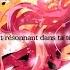 Princessemagic The Melancholy Of Craspedia を歌ってみたー FRENCH COVER