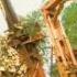 Koehring Forestry Machines