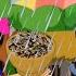 Aye Bristi আয ব ষ ট Rain Song Bengali Rhymes For Children Toha Kids