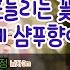 장범준 흔들리는 꽃들 속에서 네 샴푸향이 느껴진거야 염전 VER 짝사랑러 이입 1000 디글방구석노래방 Diggle