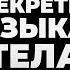 Я ЧИТАЮ ТЕБЯ ЯЗЫК ТЕЛА ВСЕГДА ПРАВ Как кинетический интеллект влияет на успех Михаил Дементьев