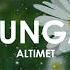 BUNGA ALTIMET 8D TUNES MALAYSIA