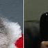 Hitler Phones Santa