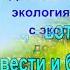 Буктрейлер на книгу Д С Лихачёва Земля родная