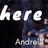 Andrelli Hey There Delilah Lyrics