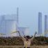 How Do Carbon Markets Work