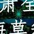 萧全 海草舞 慢摇 EDM Remix 你我都是这茫茫人海中 渺小不起眼的那一棵草
