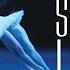 Tchaikovsky Swan Lake Op 20 Mariinsky Version Act II No 23 Mazurka