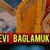 Baglamukhi Devi Mool Mantra To Stop Enemy Explained By Rajarshi Nandy Mahavidya