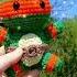 Crochet Ninja Turtle Amigurumi Fun Easy TMNT Inspired Pattern