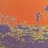 PINK FLOYD MORE BLUES SOUNDTRACK FROM THE FILM MORE I LOVE MUSIC
