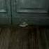 Nikopol Secrets Of The Immortals NEW TRAILER