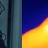 Thermal Imaging Vs Night Vision What S The Difference FLIR