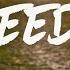 Gavin DeGraw Freedom Johnny S Song Lyrics