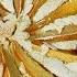 Pear And Walnut Frangipan Tart Winter Warmers 3