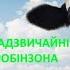 Тореадори з Васюківки Нестайко Скорочено Книга 1 Надзвичайні пригоди Робінзона Кукурузо