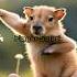 Tiny Capybara Dancing On A Finger The Cutest Dance Ever Phonk Phonkmusic Animals Animallife