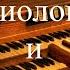 Бах Adagio для виолончели и органа BWV 564