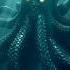 Stop It If You Can The Kraken Awakens