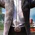 Far Cry 5 OST The Platters Only You Walk Away Ending