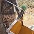 They Upgraded The Mountain Pulley System Incredible DIY In Nature
