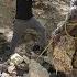 Hussein S Family In Danger Building A Hut And Fighting A Mysterious Cave Dweller