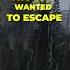 THEY WANTED To ESCAPE Dayz