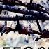 Stafford63 Человек в телогрейке