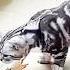 Cats Reflexes Funk Secreto Mega Slowed