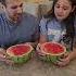 Funny Watermelon Prank Prank Shorts Funny