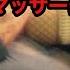 What S Barefoot Massage 裸足 マッサージってナニ