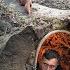 Building A Warm And Cozy Secret Shelter Deep Inside A Large Tree Bushcraft Survival Dugout
