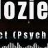 Hozier Abstract Psychopomp Lyrics