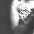 Miriam Makeba Chove Chuva Live At Berns Salonger Stockholm Sweden 1966