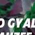 Go Gyal Ahzee Audio Edit