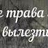 Борис Пастернак Все нынешней весной особое