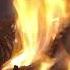 The Fire Broke Out When Jame Learned That Tu Diep Was Pregnant With John