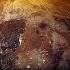 The Transformation Of The World Has Begun New Earth Metamorphosis