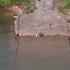 Fishing An Abandoned Boat Ramp Lands Multiple BIG FISH