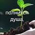 Доброе утро страна