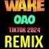 Wake OAO Remix Tiktok 2024 DJ抖音版