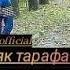 Ишки як тарафа Шахло Сайфуддинова