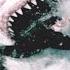 Great White Shark Attack And Breach Planet Earth BBC Earth