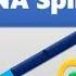 RNA Splicing And Spliceosome