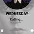 Can You Pick Up Of The Phone From WEDNESDAY Wednesday Phonecall Shorts